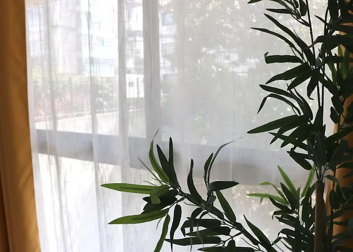 Cocon Moderne - A Deux Pas De Bercy Apartamento París