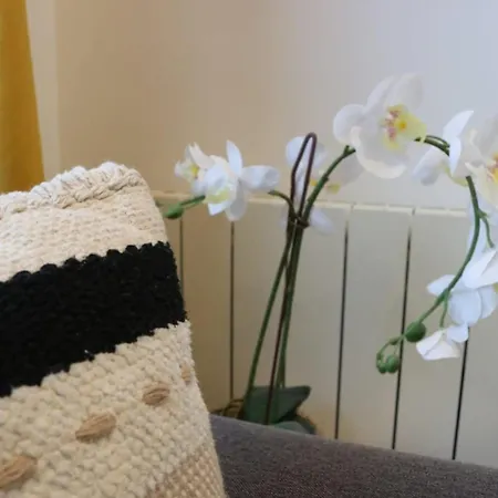 Cocon Moderne - A Deux Pas De Bercy Apartamento